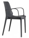 81 - Anthracite