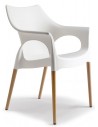 F-Natural beech
