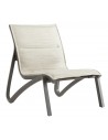 T36 - Heather brown