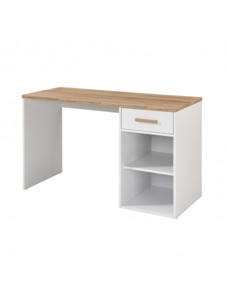 PRACTICO 120 DESK 1DRAWER CHIPBOARD WITH MELAMINE CARTA WHITE NATURAL 120x50xH76cm