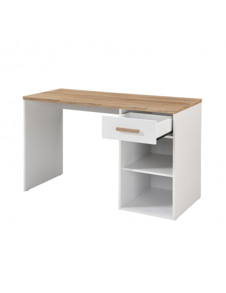 PRACTICO 120 DESK 1DRAWER CHIPBOARD WITH MELAMINE CARTA WHITE NATURAL 120x50xH76cm