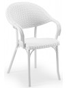 Ivory White