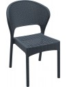 DG - Dark Grey
