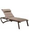 T36 - Heather brown