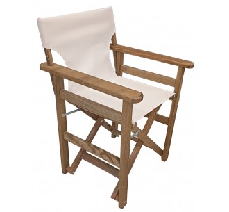 Director armchair K501