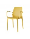 22 - Mustard yellow