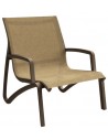T31 - Cognac