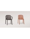 73 - Wenge