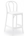 Ivory White