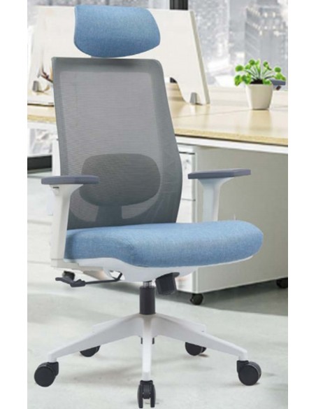 Eval executive office chair - 2 years guarantee | Avant Garde