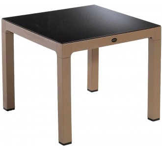 Seginus table