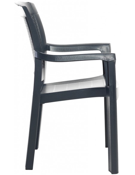 PAUL armchair by Novussi | Avant Garde