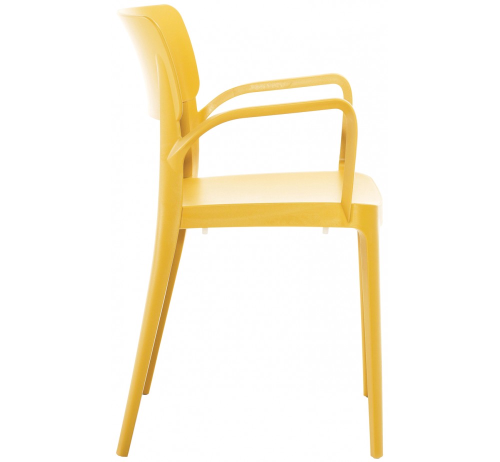 Panora armchair by Novussi | Avant Garde exclusive agent