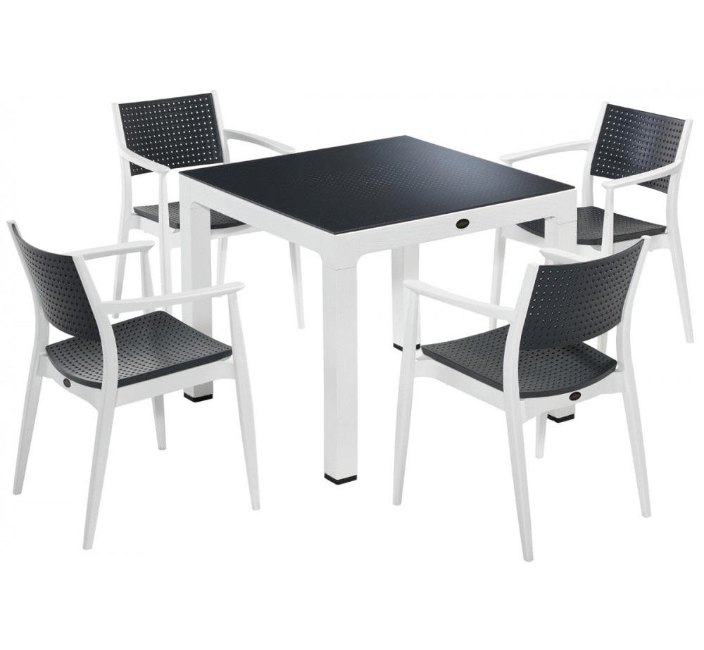 Seginus dinning table set 90x90cm - 2 years guarantee | Avant Garde