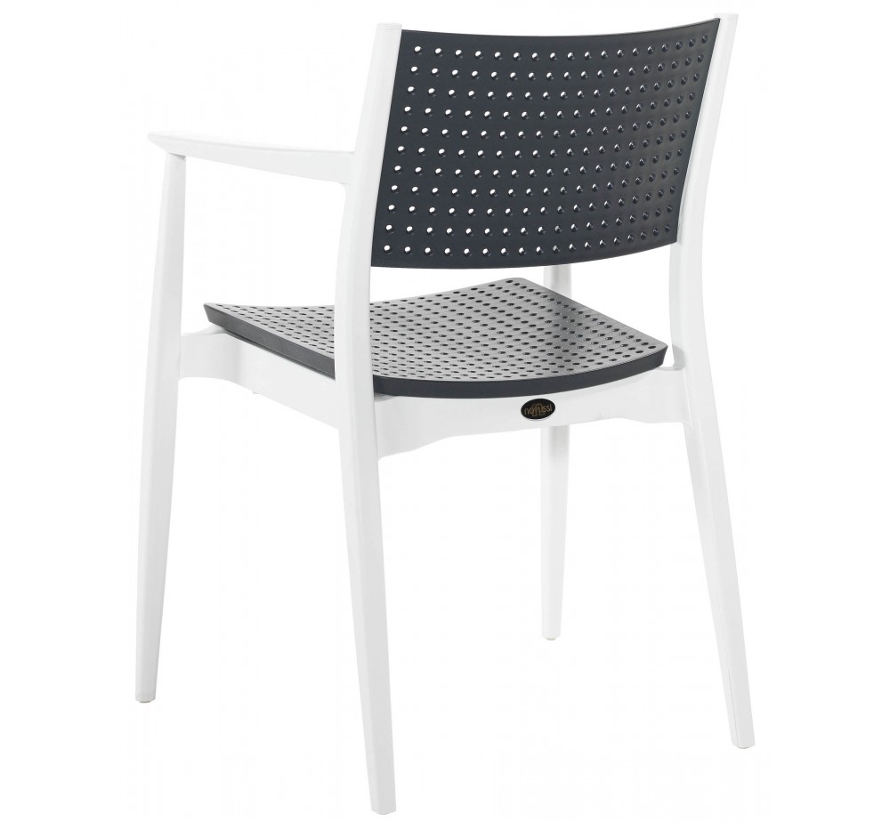 Seginus armchair by Novussi | Avant Garde - exclusive agent