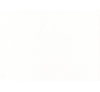 Pure white 0406 Topalit top