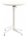 Ivory White