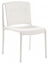 Ivory White