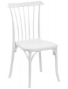 Ivory White