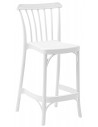 Ivory White