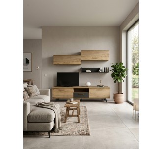 Sixties living room composition