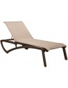 T36 - Heather brown