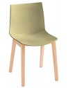 51-Sage green