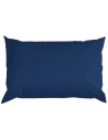 2x1-Blue