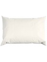2x1-White