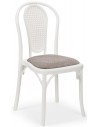 Ivory White