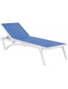Blue - White