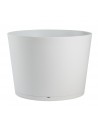 096 - Ice white
