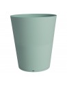 679 - Mint