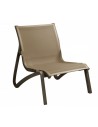 T31 - Cognac