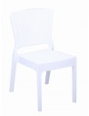 Ivory White