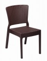 Wenge