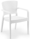 Ivory White