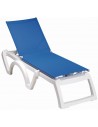 T5 - Blue